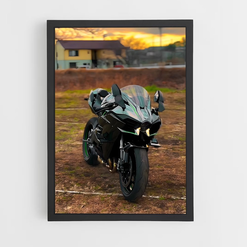 Poster incroyable Ninja h sx (vue 2)